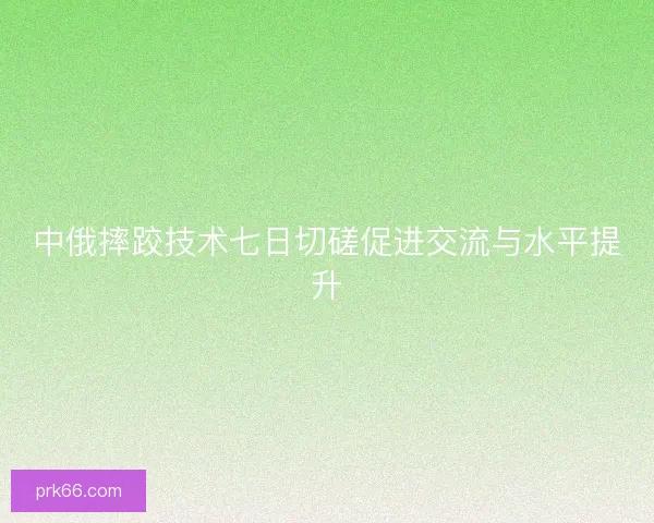 中俄摔跤技术七日切磋促进交流与水平提升
